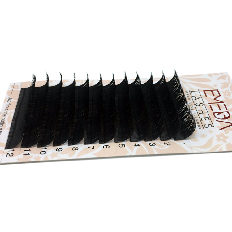 Different Style good Flat Eyelash Extension Y-PY1